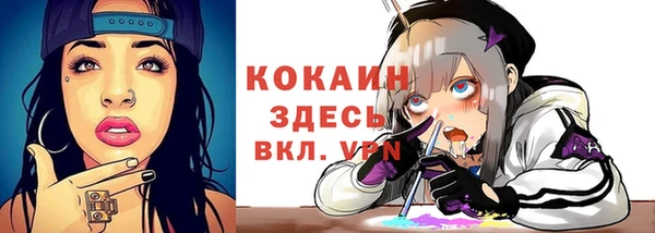 сатива Баксан