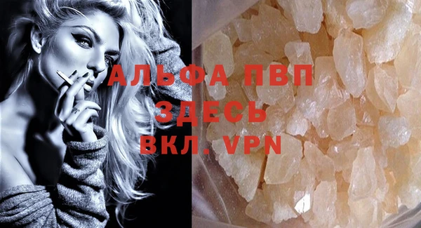 сатива Баксан