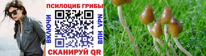Галлюциногенные грибы GOLDEN TEACHER  Барыш 